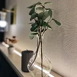 Opera Z39 Suite